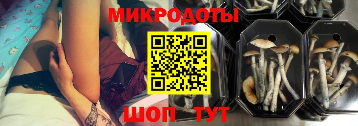 Псилоцибиновые грибы прущие грибы Петропавловск-Камчатский